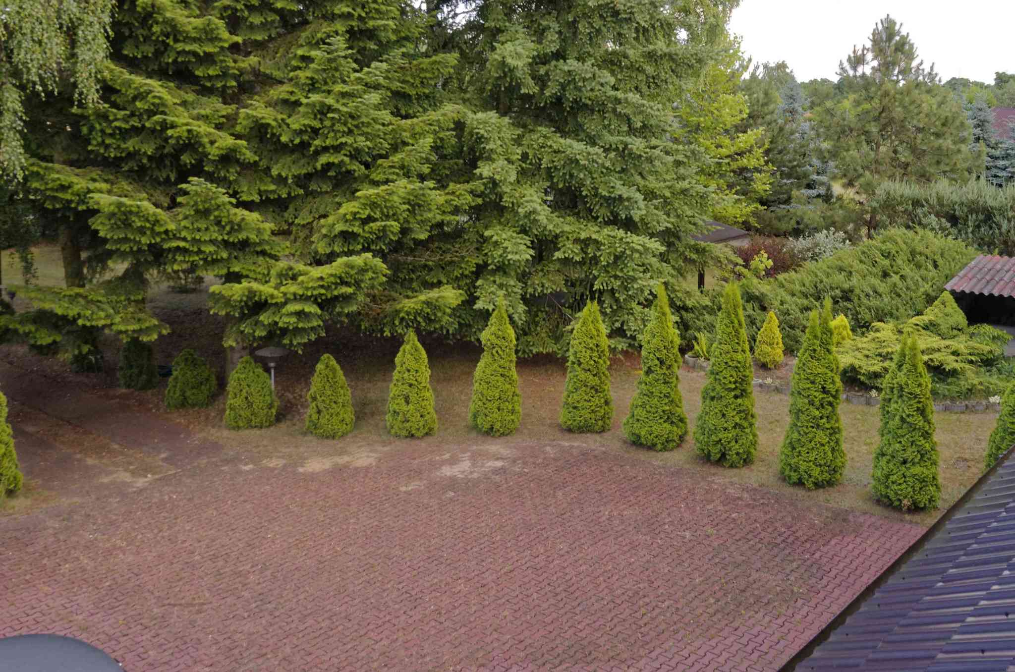 Apartament na wynajem, Łódzkie Poddębicki Poddębice 86813668
